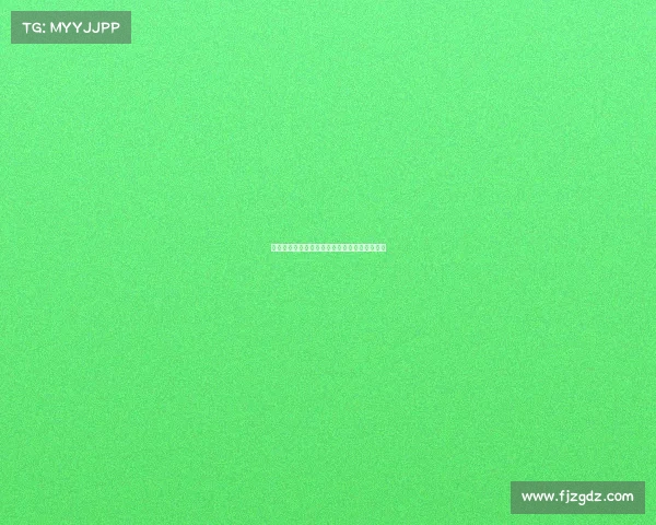 阿莫林赞德赫亚回归称谢什科性格契合团队需求