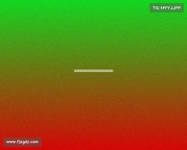 迪马济奥：罗马未能满足狼队对法比奥席尔瓦的转会要价